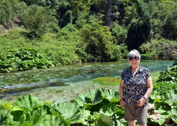 2018-07-14_Blue Eye_Bistricë River-20001.JPG