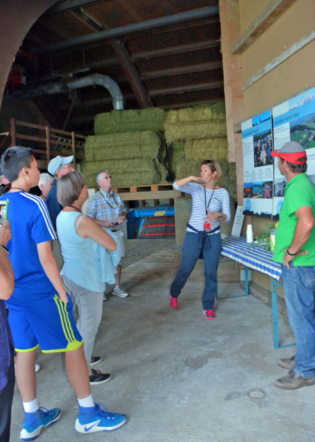 1743995903868488.jpg 2017-08-24_Kälin Family Farm_Barn-20001.JPG