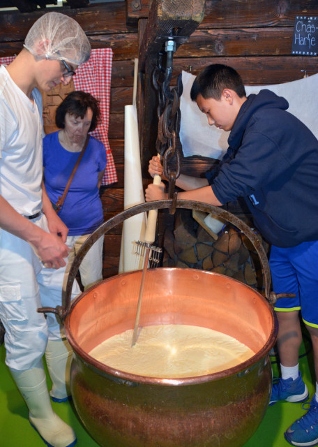 1743995948385745.jpg 2017-08-24_Milchmanufaktur_Stirring Cheese 搅拌奶酪-30001.JPG