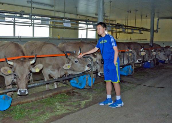 2017-08-24_Kälin Family Farm_Stall-50001.JPG