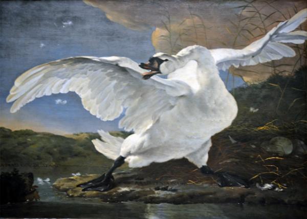 2017-08-16_Rijksmuseum_The Threatened Swan by Jan Asselijn in 1650 áɪ֡ܵв졷-10001.JPG