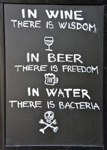 2017-07-10_Wisdom ǻ0001.JPG