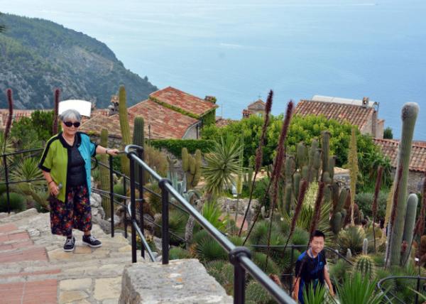 2018-07-20_Èze_Jardin Botanique d'Èze_Old Man Cactus ֲ԰0001.JPG