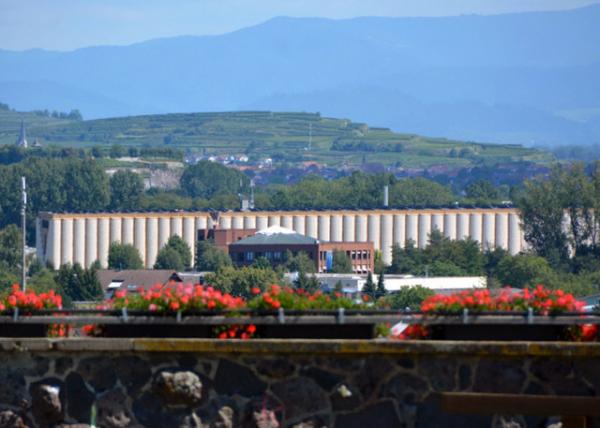 2017-08-22_Badischer Wine Cellar ͵ƽ-30001.JPG