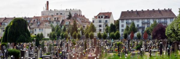 2017-08-21_The Neudorf Cemetery ŵĹ0001.JPG