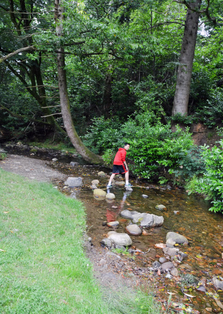 2016-07-10_Avoca River w Copper-Colored Stones ֿӡͭɫʯͷ-20001.JPG