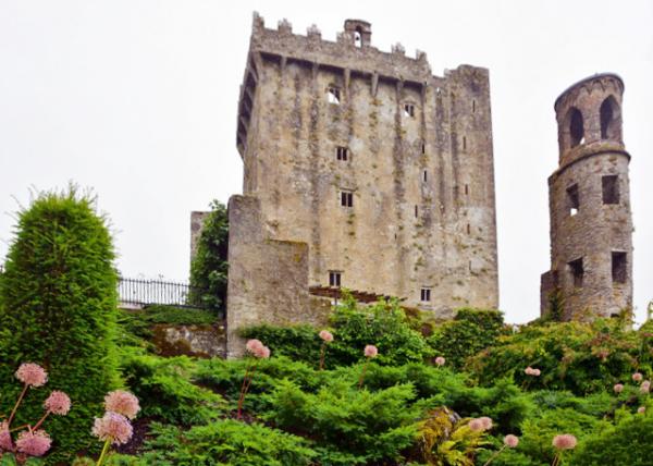 2016-07-09_Blarney Castle_Keep & Tower -40001.JPG