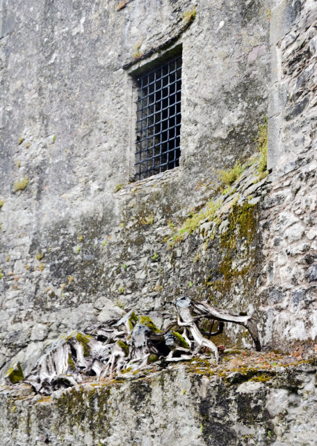1744995651173495.jpg 2016-07-09_Blarney Castle_Window-10001.JPG