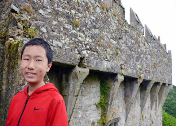 2016-07-09_Blarney Castle_Wall0001.JPG