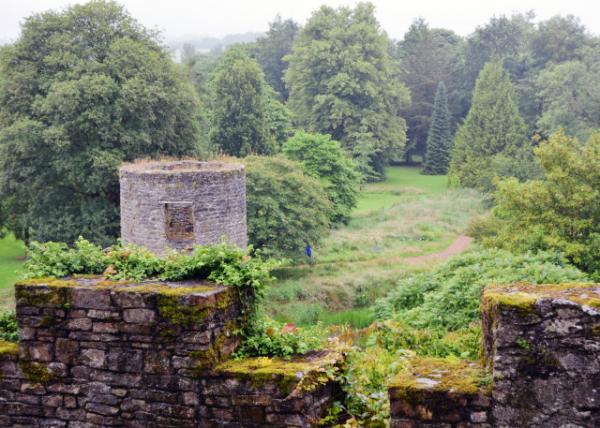 2016-07-09_Blarney Castle_Lookout Tower-10001.JPG