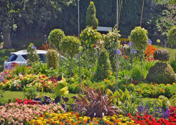 2016-07-08_Candie Gardens ϻ԰0001.JPG