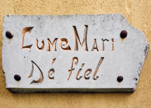 2016-06-30_Lume Mari De Fiel ·0001.JPG