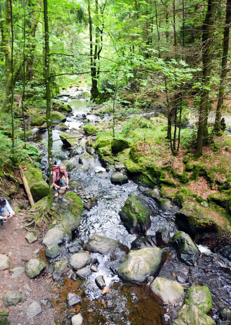 2017-08-22_Black Forest NP_Steam ɽϪ-30001.JPG