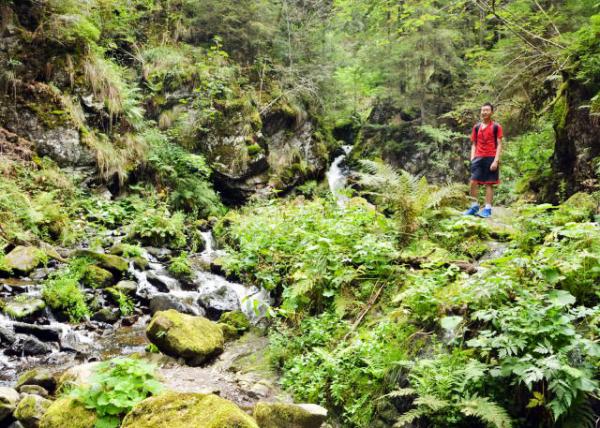 2017-08-22_Black Forest NP_Trail ɽС·-50001.JPG