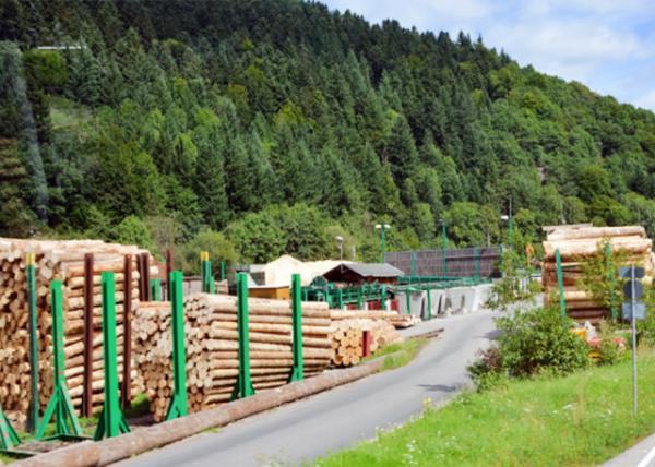 2017-08-22_Buchenbach_Dold Holzwerke -20001.JPG