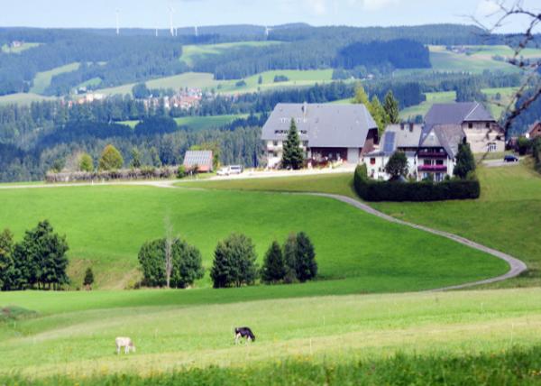 2017-08-22_Buchenbach_Home on the Ranch ϵļ-30001.JPG