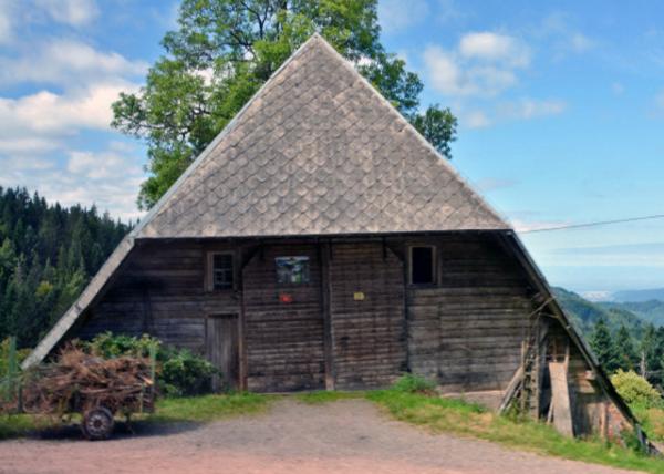 2017-08-22_Farmhouse w Half-Hipped Roof-40001.JPG