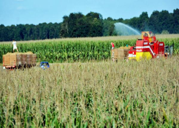 2017-08-22_Farm_Irrigation 0001.JPG