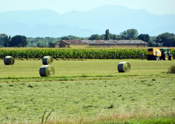 2017-08-22_Farm_Round Hay Bale Բɲ-20001.JPG