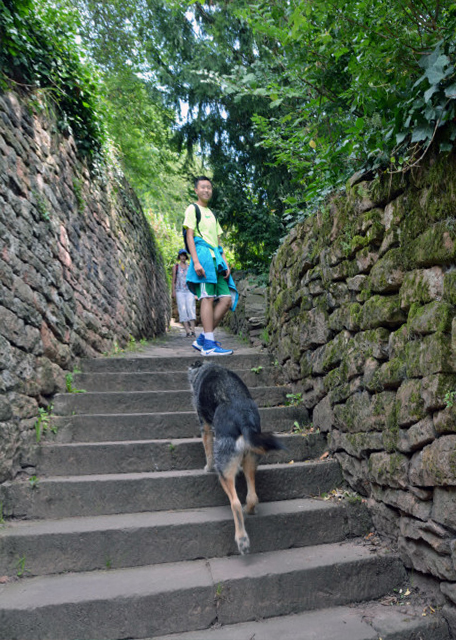 2017-08-20_Street_Schlangenweg or Snake Path_ Steep Gorges w Partly Brick Walls ߾0001.JPG