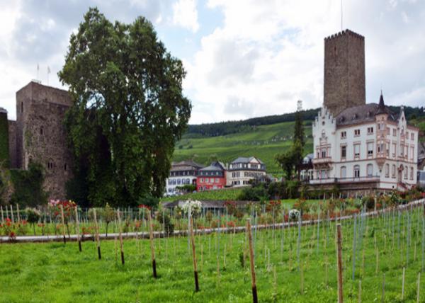 2017-08-19_Carl Jung Vineyards & Manor House ٸ԰ׯ԰-40001.JPG