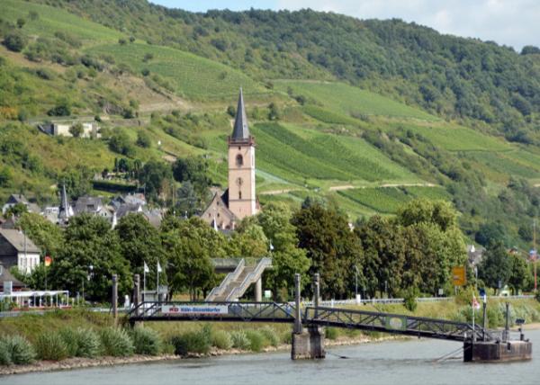 2017-08-19_Lorch_St Martin ʥ-10001.JPG