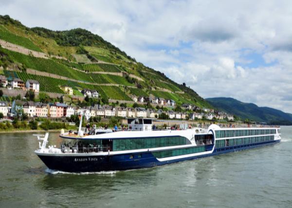 2017-08-19_Lorch_Vineyards above the Cruiseship Ϸ԰0001.JPG