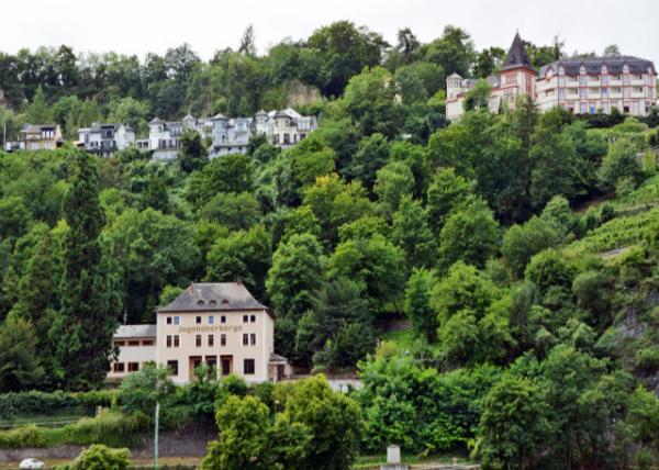 2017-08-19_St Goar_Hilltop ɽ-20001.JPG