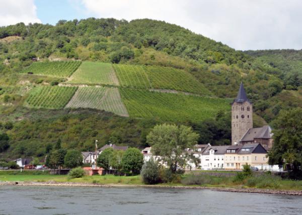 2017-08-19_Wellmich_St Martin Catholic Church against Vineyard-20001.JPG