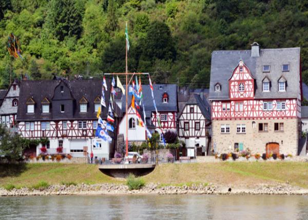 2017-08-19_Spay_Village Ctr-20001.JPG