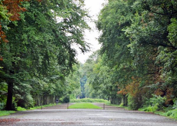 2017-08-18_Forest @ Castle Park  Ǳ԰ɭ0001.JPG