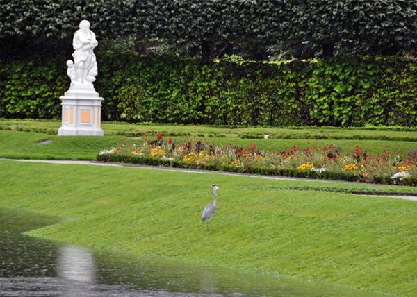 2017-08-18_Gardens_Heron -10001.JPG