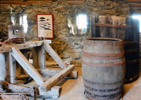 2023-08-24_Outdoor Museum_Artifacts from the Old Inuit Culture & the Norse Settlements of 982 AD_ Including Turf Huts & Fur boats0001.JPG