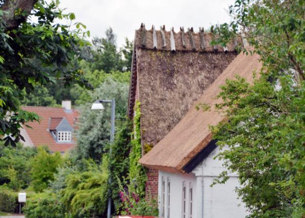 2016-07-06_Thatched Roof éݶ-30001.JPG