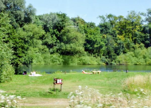 2016-07-19_Windsor_Great Park ɯ԰-10001.JPG