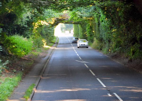 2016-07-19_Dark Hedges ڰ0001.JPG