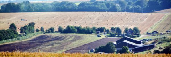 2016-07-19_Countryside_Madrigal ͳl0001.JPG