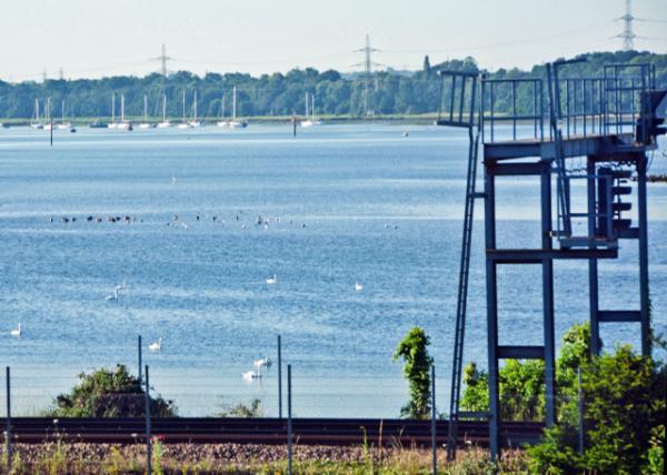 2016-07-19_Southampton_River Test ˹غ-10001.JPG