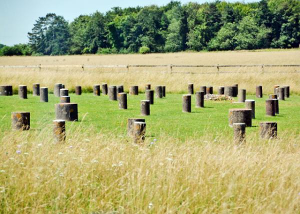 2016-07-19_Woodhenge_the Neolithic Calendar ľ-10001.JPG
