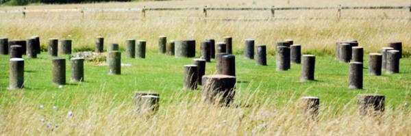 2016-07-19_Woodhenge_Dough Covers Ÿ-20001.JPG