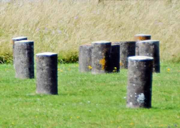 2016-07-19_Woodhenge_Timber Cicles ľȦ-30001.JPG