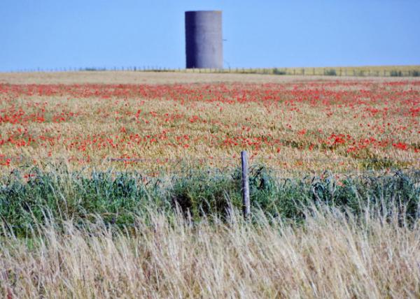 2016-07-19_Stonehenge_Amesbury Landmark ķ˹򡤵ر-20001.JPG