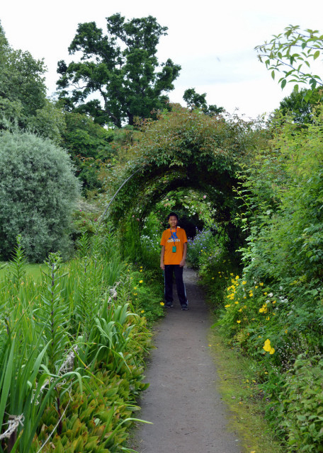 2016-07-15_Cawdor Castle_Arbor Garden ľ԰-40001.JPG