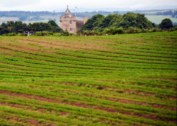 2016-07-15_Castle Stuart ˹ͼ���سǱ�0001.JPG