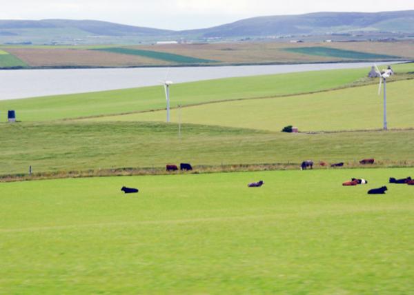 2016-07-14_Skaill Farm0001.JPG