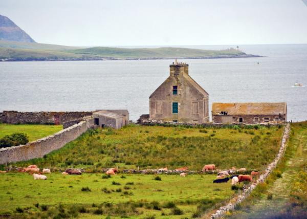 1748375656965033.jpg 2016-07-14_Stromness_Waterfront Farmhouse 海边农舍-30001.JPG