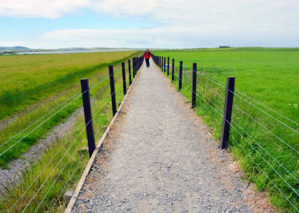 2016-07-14_Tormiston Farm ˹ũ-70001.JPG