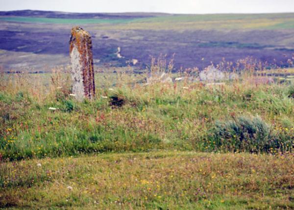 2016-07-14_Ring of Brodgar_Watch Stone Standing outside the Circle վȦĲtʯ-100001.JPG