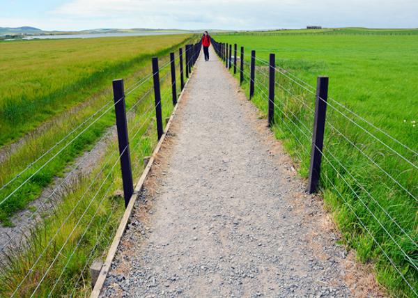 2016-07-14_Tormiston Farm-70001.jpg