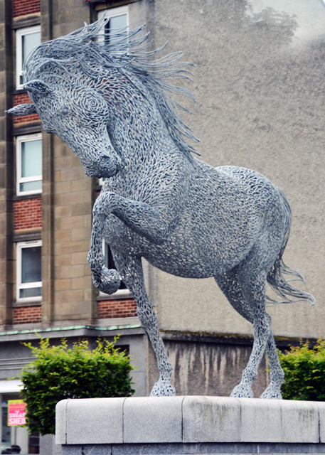 1748489313495018.jpg 2016-07-12_Greenock_The Cart Horse 拉货车的马0001.JPG